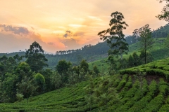 Kerala-Tour-Package
