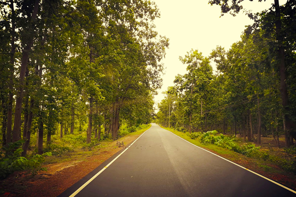 Jhargram Tour Packages_Jhargram Belpahari Tour Packages_Jhargram Tour_Belpahari_Gopiballavpur