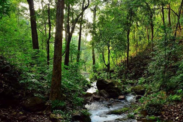 Saranada Tour Packages_Kiriburu Meghataburu_Saranda_Tour Packages