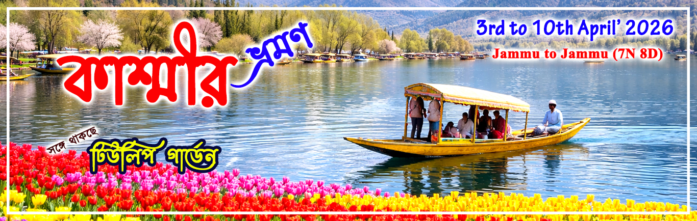 11 Web (Kashmir)